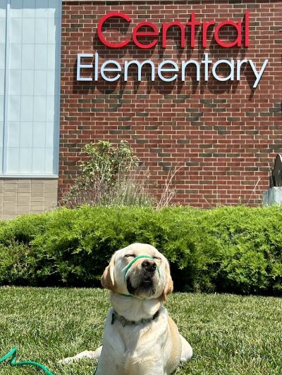 Dog in front of building