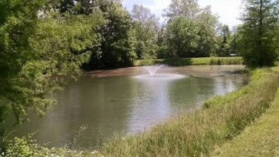 pond